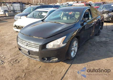 2010 Nissan Maxima 3.5 Sv z USA, uszkodzony, nr VIN 1N4AA5APXAC843722